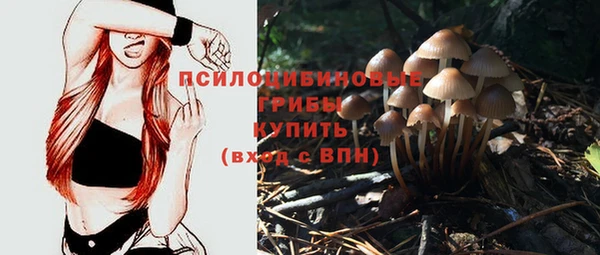 apvp Алексеевка