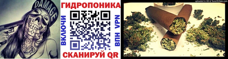 Канабис OG Kush  Купить где  Белгород 